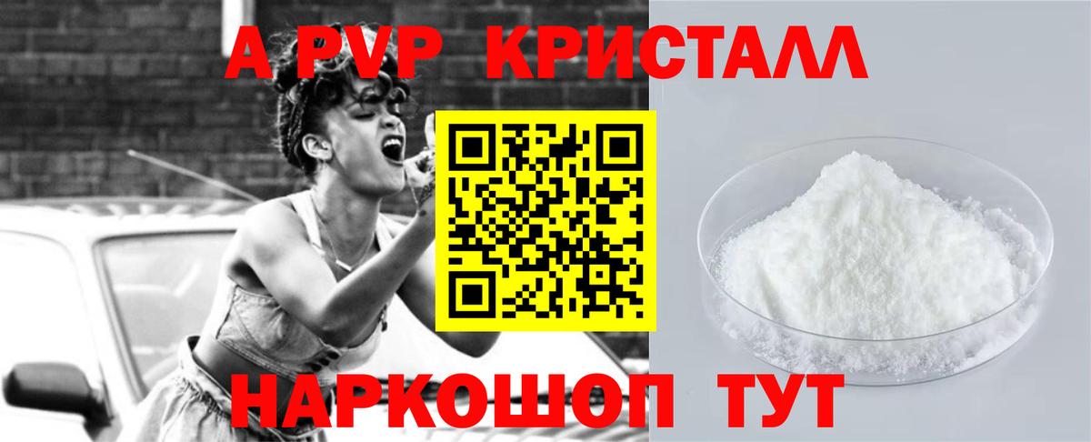Alfa_PVP СК Волгоград