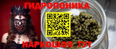 гидра Малгобек