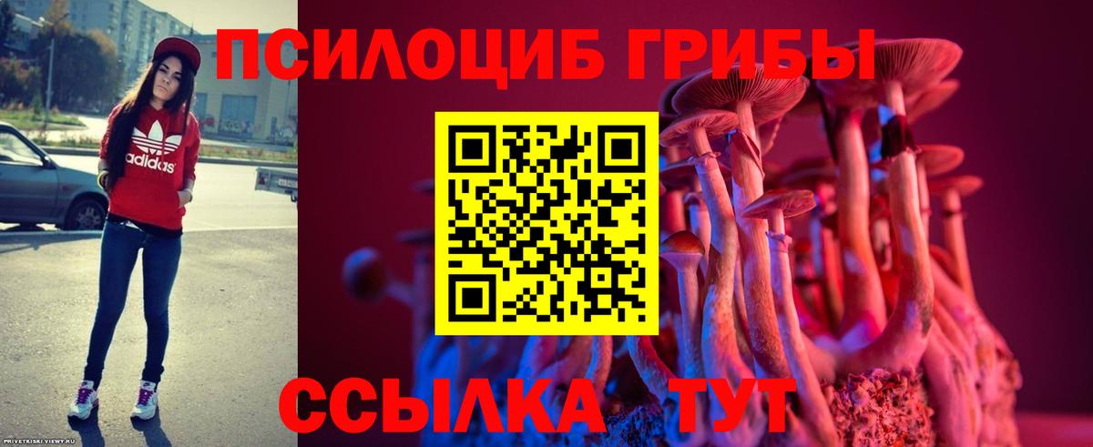 купить   Псилоцибиновые грибы ЛСД  Вход с VPN  Волгоград 