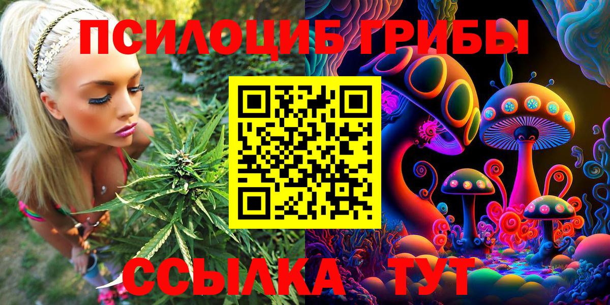 Галлюциногенные грибы Magic Shrooms Волгоград